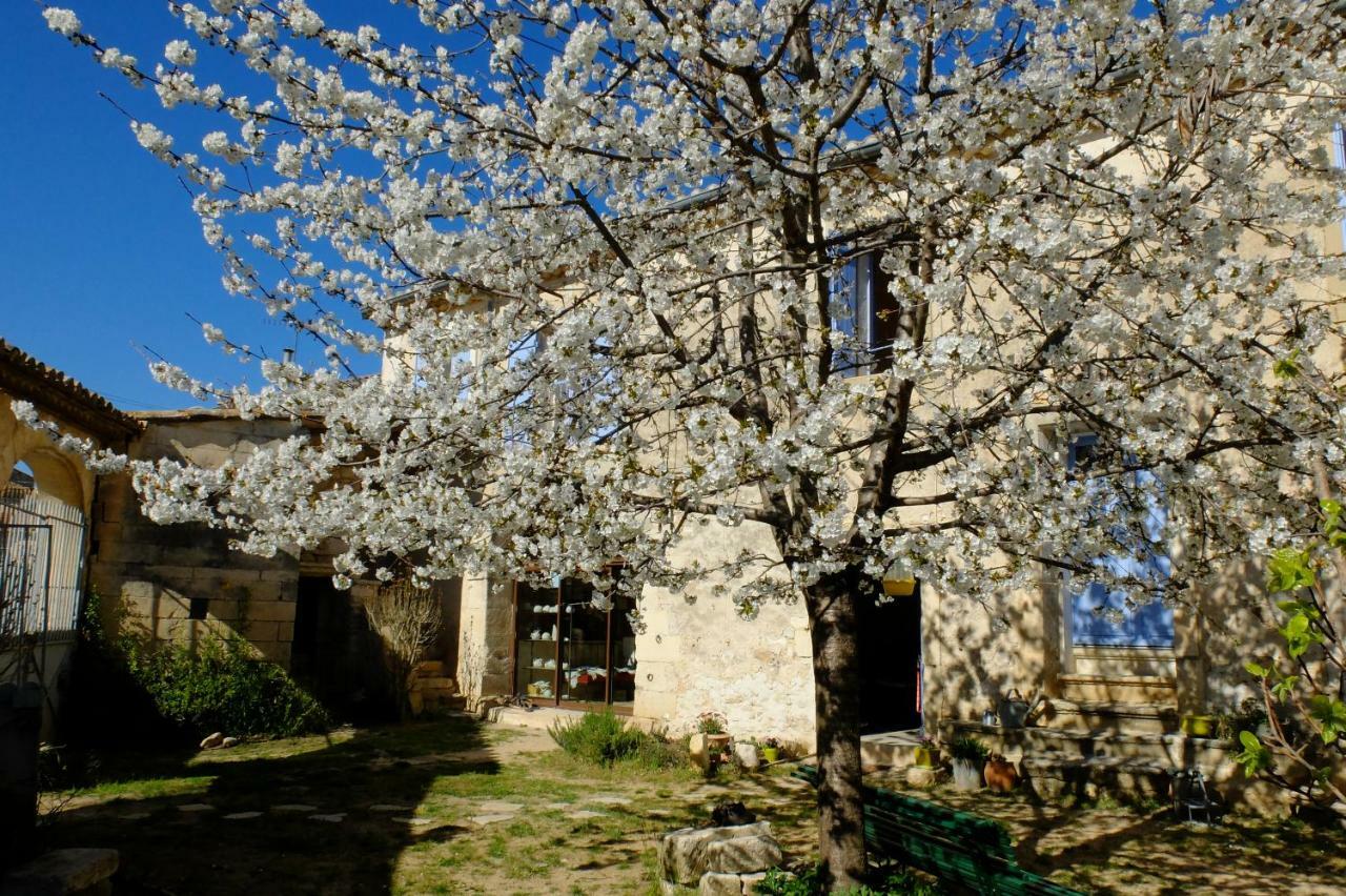 Chambres D'Hotes Dans Maison D'Artiste Galargues Экстерьер фото